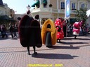DSC00886.jpg