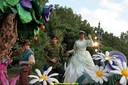 DSC02159.jpg