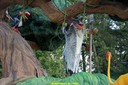 DSC02177.jpg