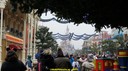 DSC02595.jpg