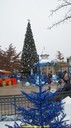 DSC02600.jpg