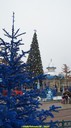 DSC02601.jpg
