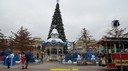 DSC02903.jpg
