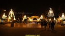 DSC03012.jpg