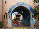 DSC04769.jpg