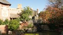 DSC09057.jpg