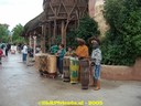 HPIM0684.jpg
