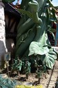DSC03655.jpg