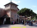 DSC07556.jpg