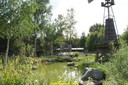 20100803171406DSC03233.jpg