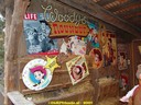 DSC02466.jpg