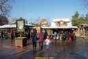 DSC04481.jpg