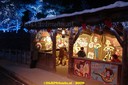 DSC07428.JPG