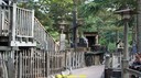 DSC05059.jpg