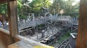 DSC05077.jpg