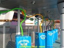 DSC07157.jpg