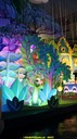DSC02146.jpg