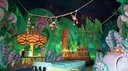 DSC04597.jpg