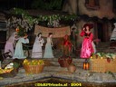 DSC01761.jpg