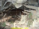 HPIM0494.jpg