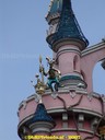 DSC01183.jpg
