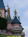 DSC01184.jpg