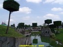 DSC01186.jpg