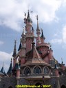 DSC01191.jpg