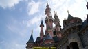 DSC01586.jpg