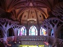 DSC01708.jpg
