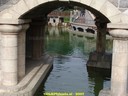 DSC01949.jpg