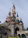 DSC01951.jpg