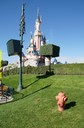 DSC02006.jpg