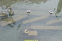 DSC03527.jpg