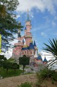 DSC07939.jpg