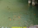 DSC01222.jpg