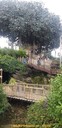 20191015_141355.jpg