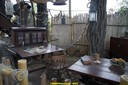 DSC05921.jpg