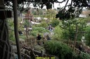 DSC05928.jpg