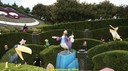 DSC09231.jpg