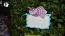 DSC09235.jpg