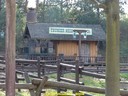 DSC03390.jpg