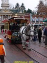 DSC02436.jpg