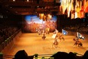 20100801183318DSC02699.jpg