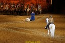 20100801183725DSC02720.jpg