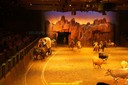 20100801184528DSC02730.jpg