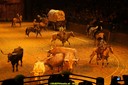 20100801184546DSC02734.jpg