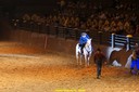 20100801191645DSC02795.jpg