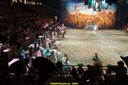 20100801191928DSC02800.jpg