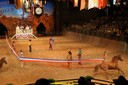 20100801192724DSC02812.jpg